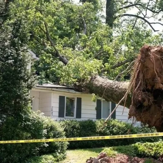 Storm & Wind Damage Repair Services in Southeast Nashville, TN