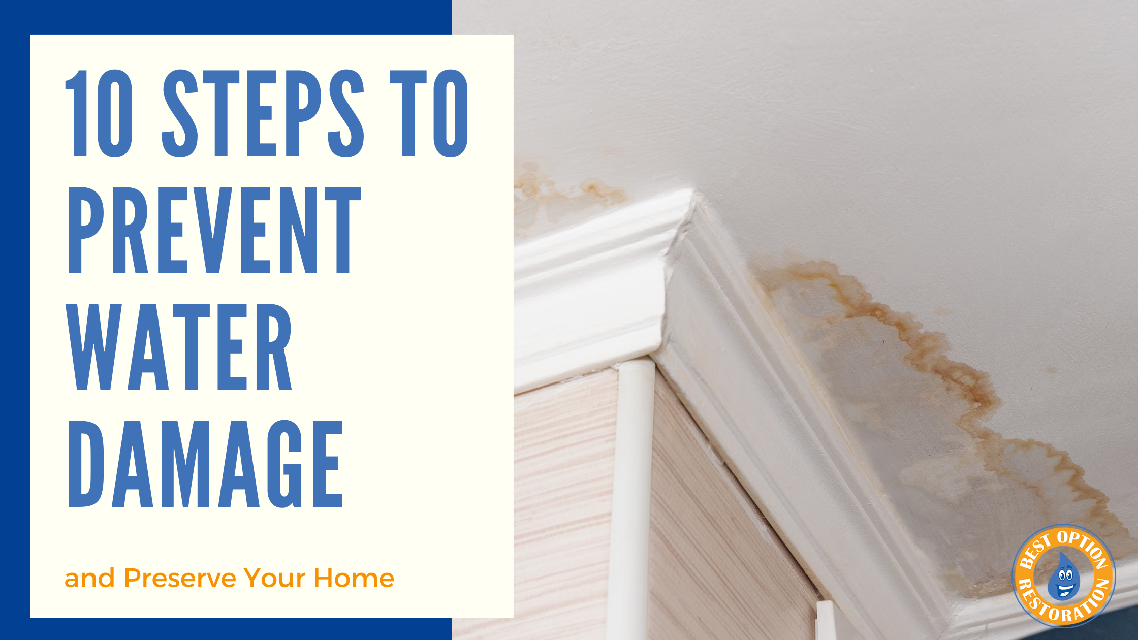 The Ultimate Guide: How to Prevent Water Damage and Preserve Your Home in 10 Easy Steps