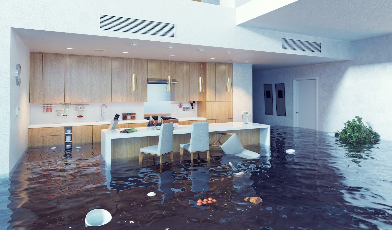 Understanding the Subtle Signs of Water Damage in Your Property